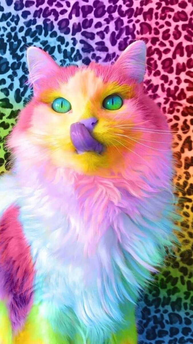 675x1200  Милые животные на аватарку и обои))) | Позитивный Пёсик | Дзен