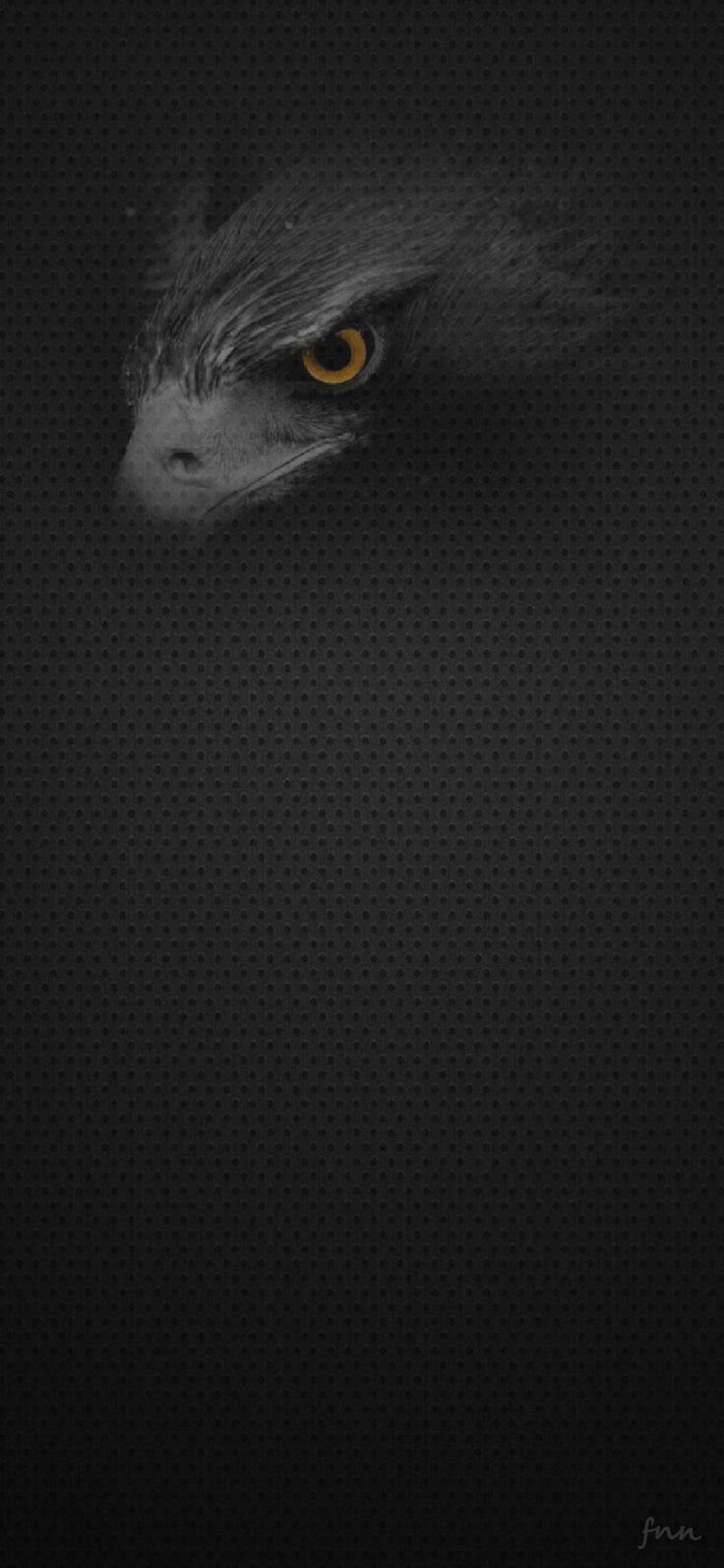 736x1594  Пин от пользователя Сергей Голик на доске Классные обои в 2023 г | Черные  обои, Обои фоны, 3d обои