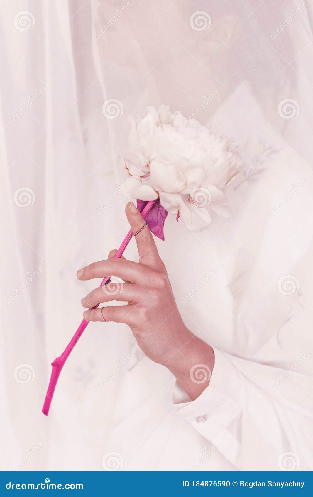 1067x1690  Современный цветочный эстетический розовый модный тон. Красивая женщина с  розовый цветок пиона через Тюль. Стильный девушка за бел Стоковое Фото -  изображение насчитывающей рука, лето: 184876590