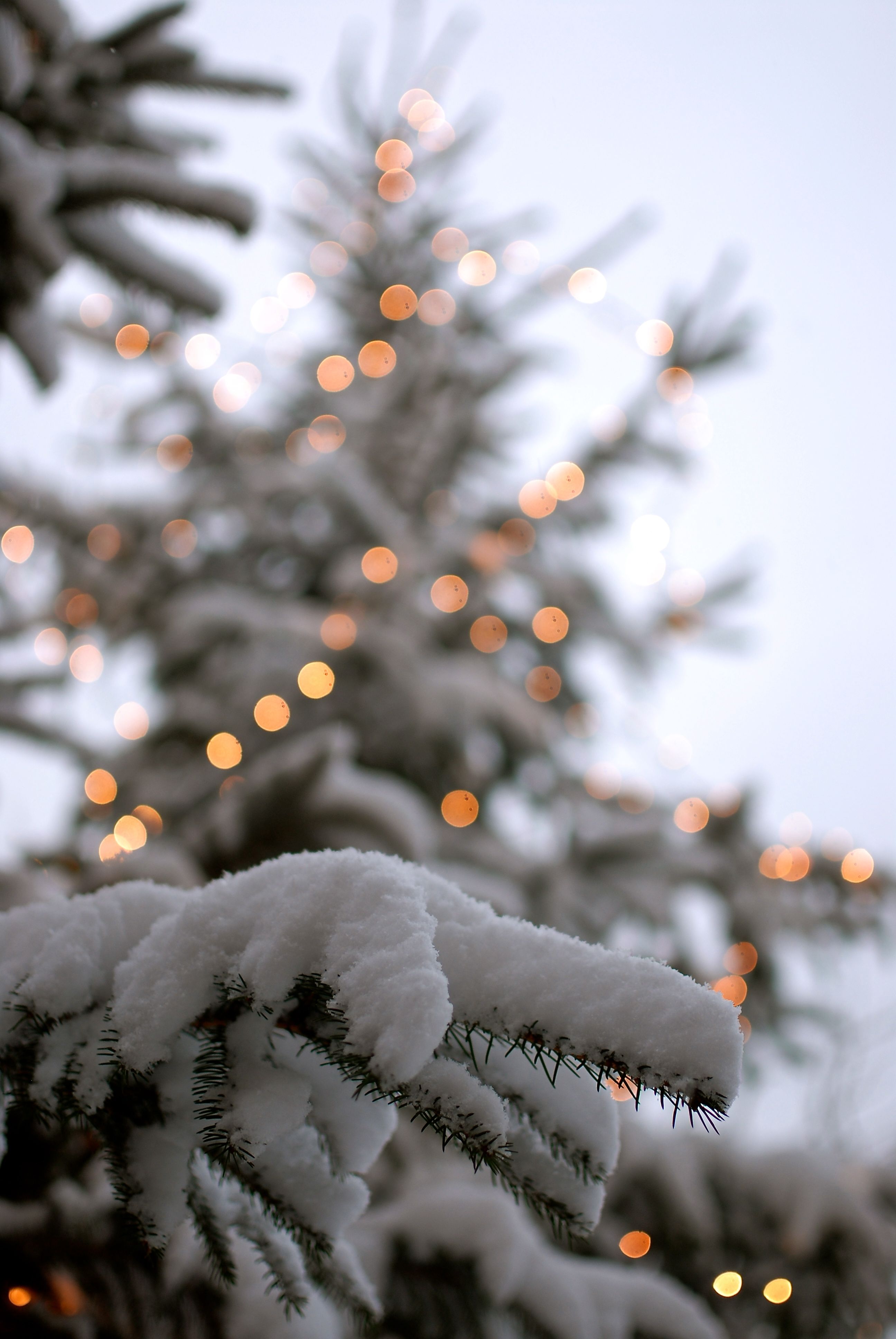 2592x3872  Winterstimmung. | Christmas phone wallpaper, Winter wallpaper, Christmas  wallpaper