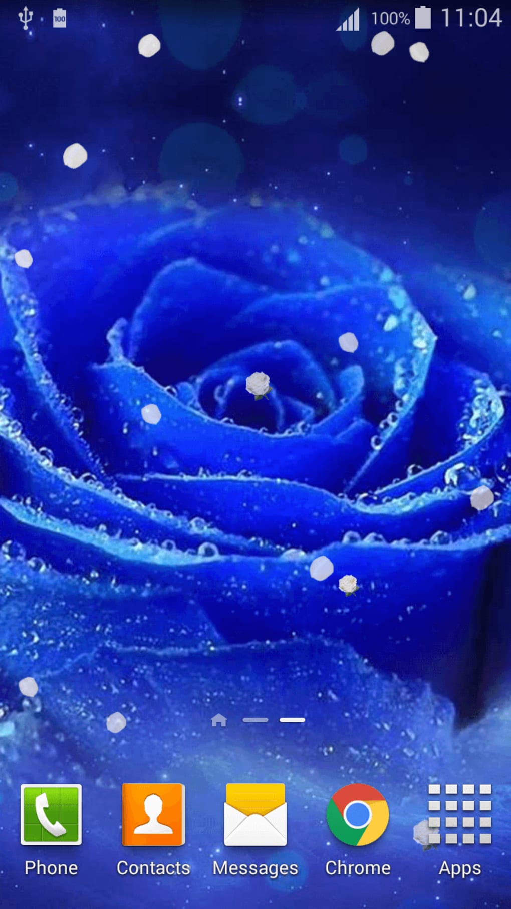 1020x1813  3D Rose Live Wallpaper APK для Android — Скачать
