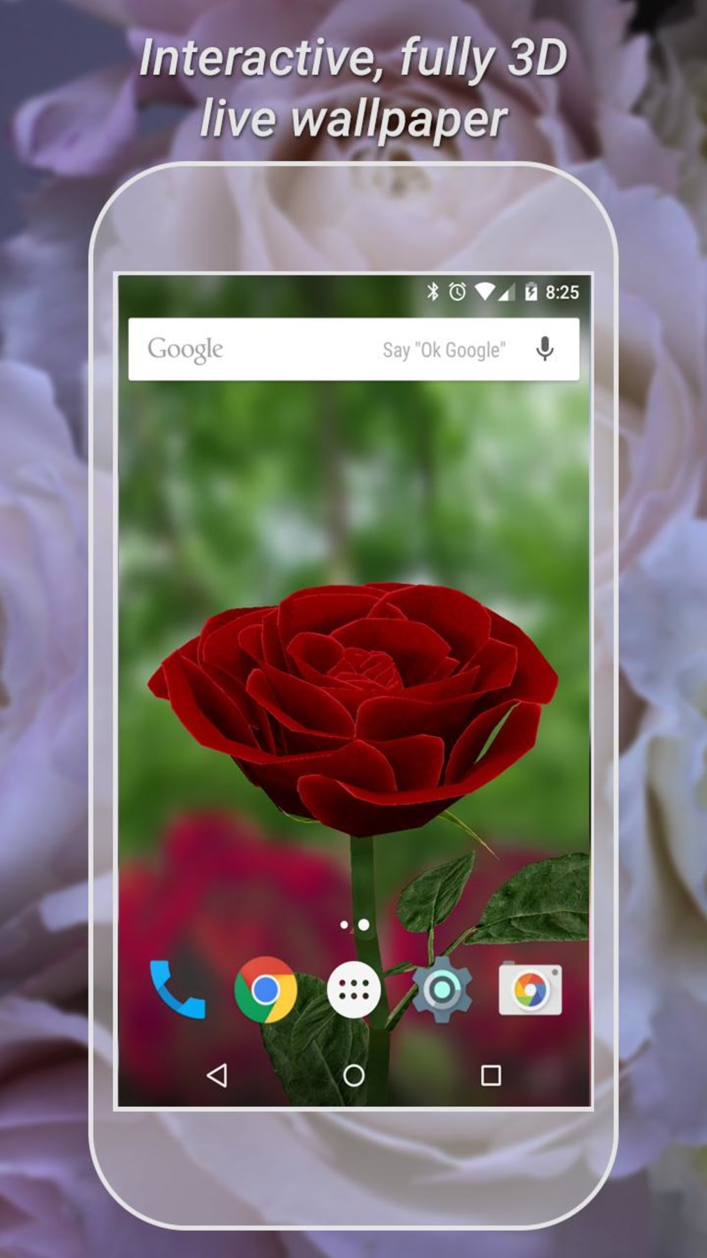 1020x1813  3D Rose Live Wallpaper Lite APK для Android — Скачать