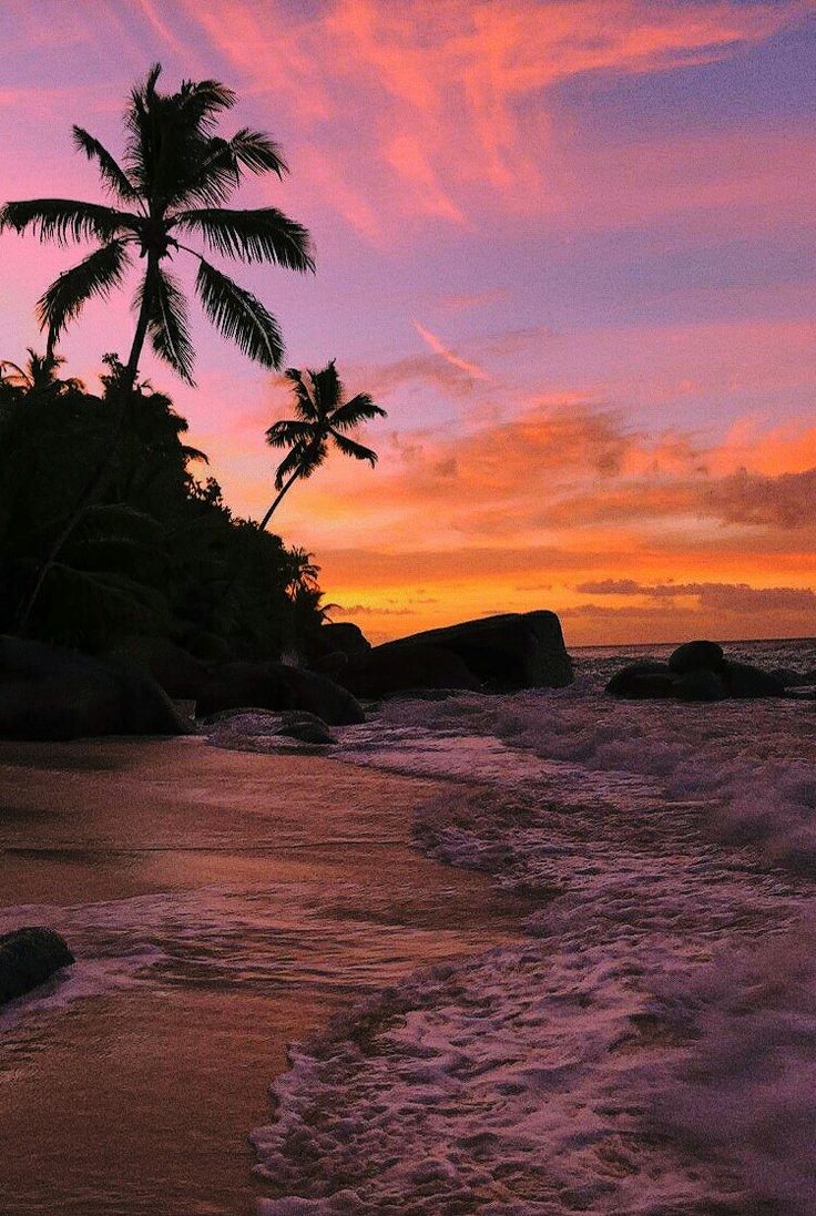 736x1097  ОБОИ ЛЕТО НА АЙФОН | Лето, Обои