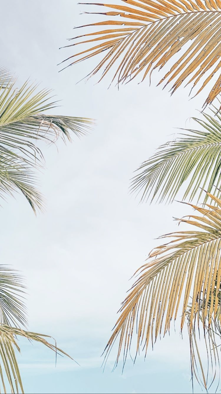 750x1334  море #заставка #обои #лето | Фоновые рисунки, Фотографии задних планов,  Летние фотографии природы