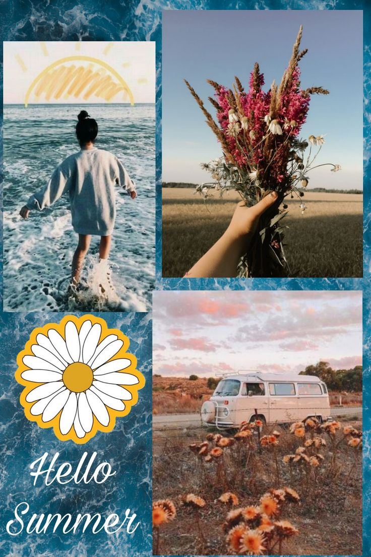 736x1105  Обои лето | Летние обои, Фотографии фонов, Обои