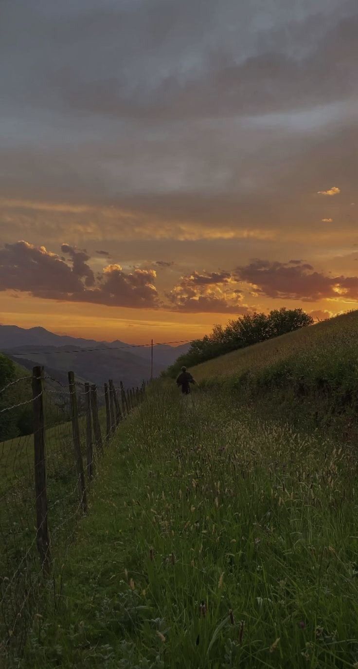 736x1374  Обои на телефон. Лето. Горы | Пейзажи, Живописные пейзажи, Закаты