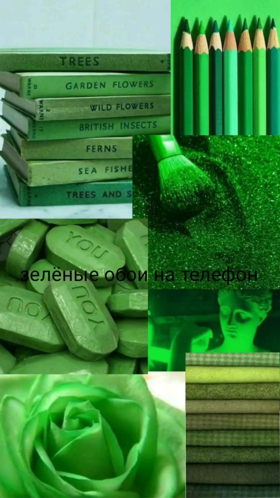 926x1646  зелёные обои на телефон | Green aesthetic, Green, Shades of green