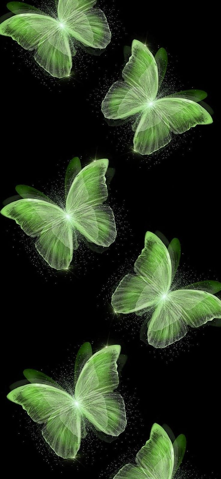 736x1592  Cute wallpaper Green wallpaper Butterflies Зелёные обои Милые обои Фон  Виджет Ба… in 2023 | Iphone wallpaper green, Butterfly wallpaper  backgrounds, Simple phone wallpapers