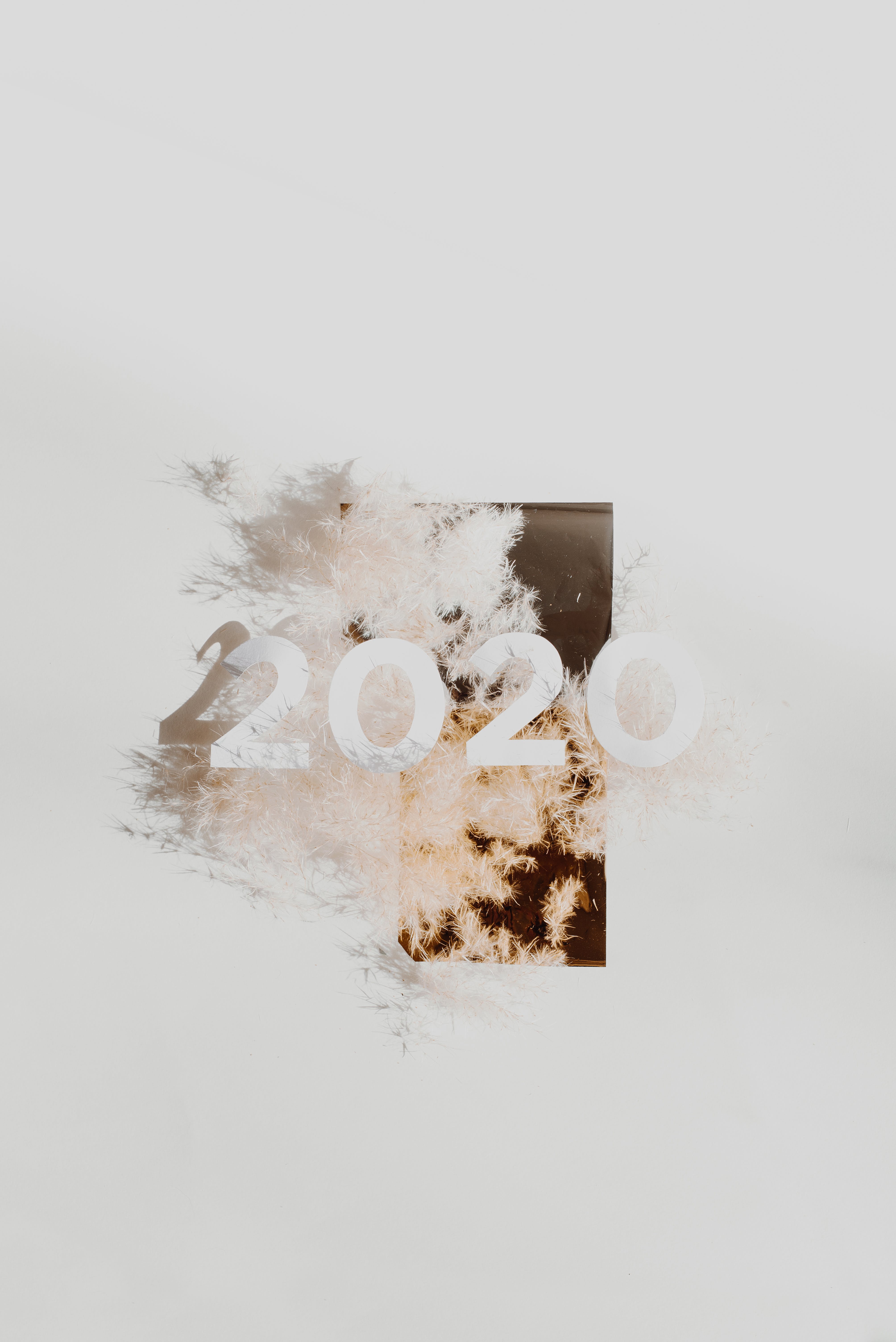 4016x6016  HD обои главного экрана | Iphone Wallpaper King, Hd обои для мобильного, Мобильные обои android