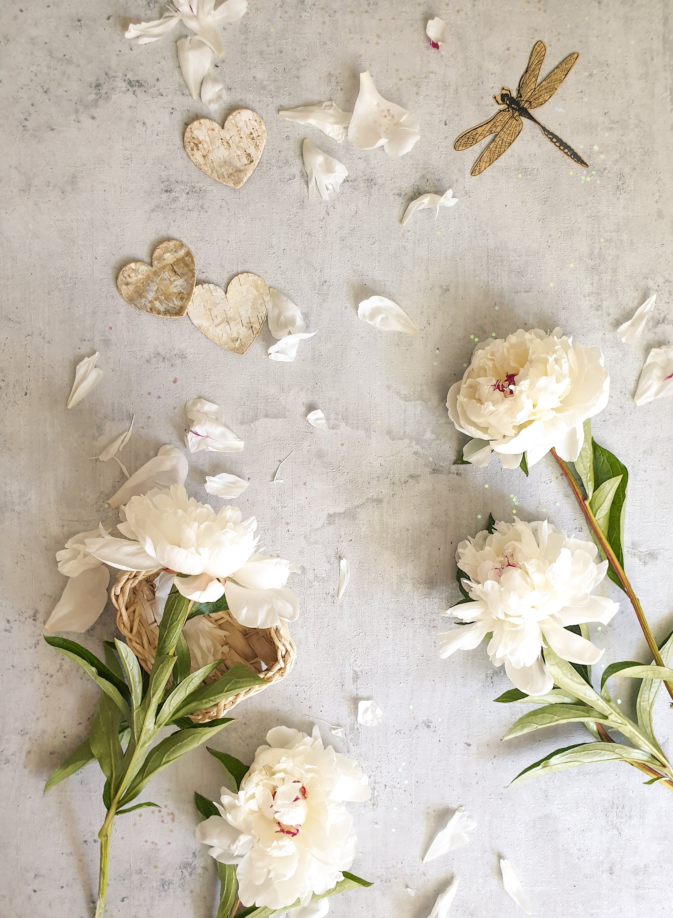 2192x2990  Обои для iPhone SE, версия 2020