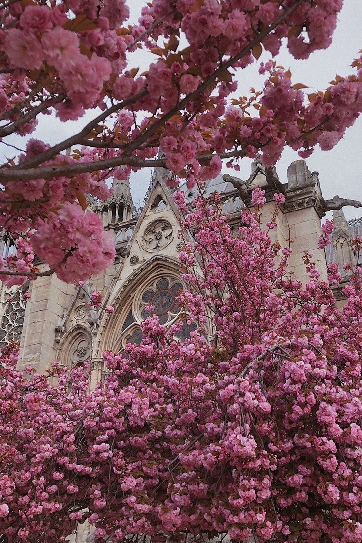 736x1104  Пин на доске Збережені піни