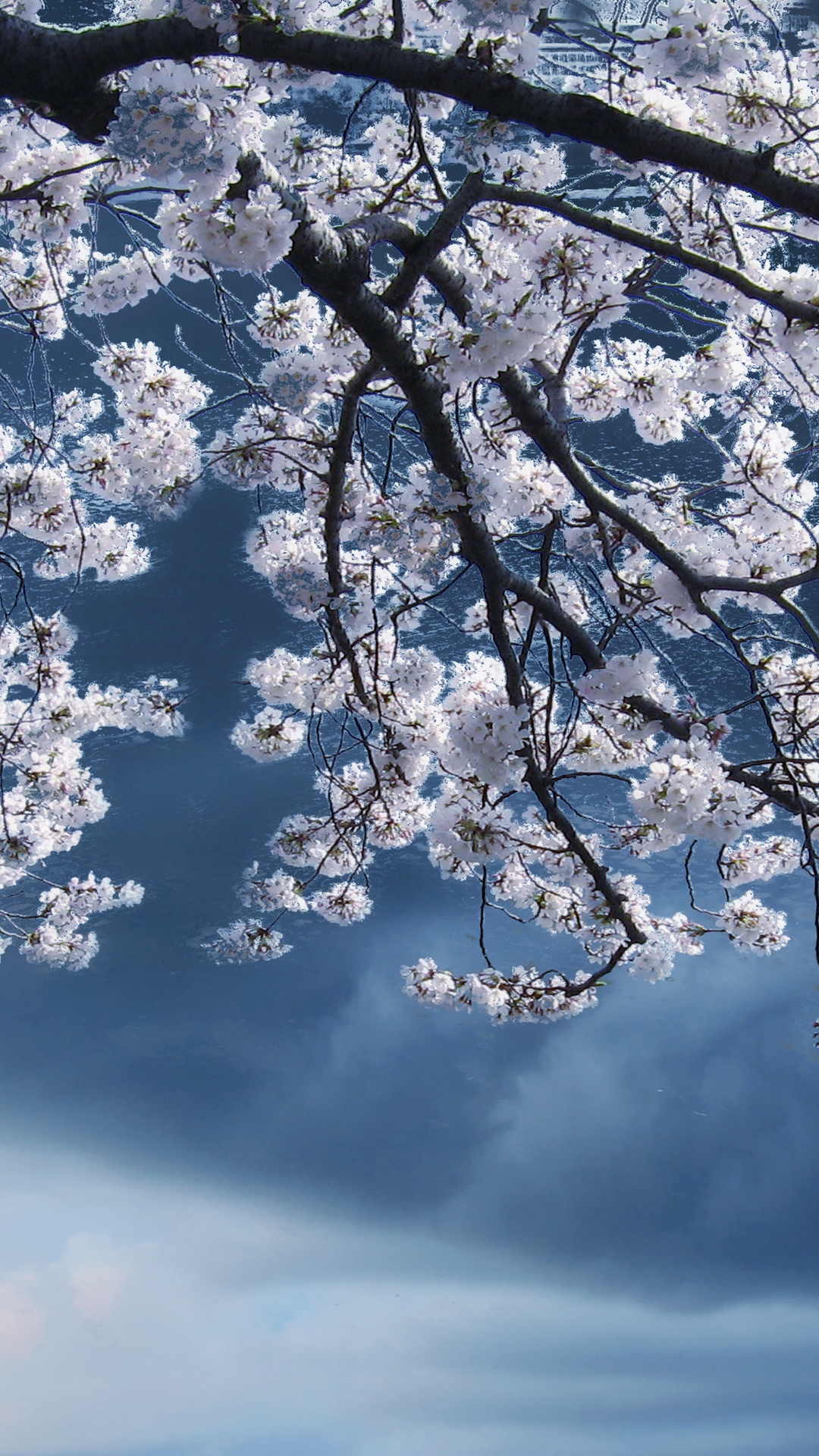 1080x1920  Скачать обои Весна в разрешении 1080x1920 на рабочий стол