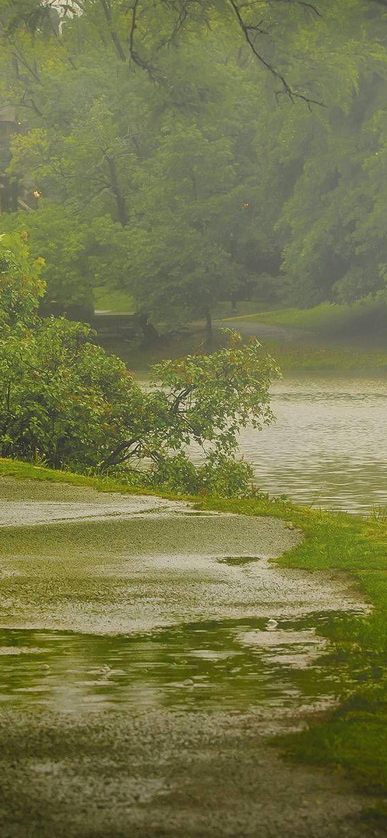 1284x2778  Категория Обои на телефон обои скачать на рабочий стол