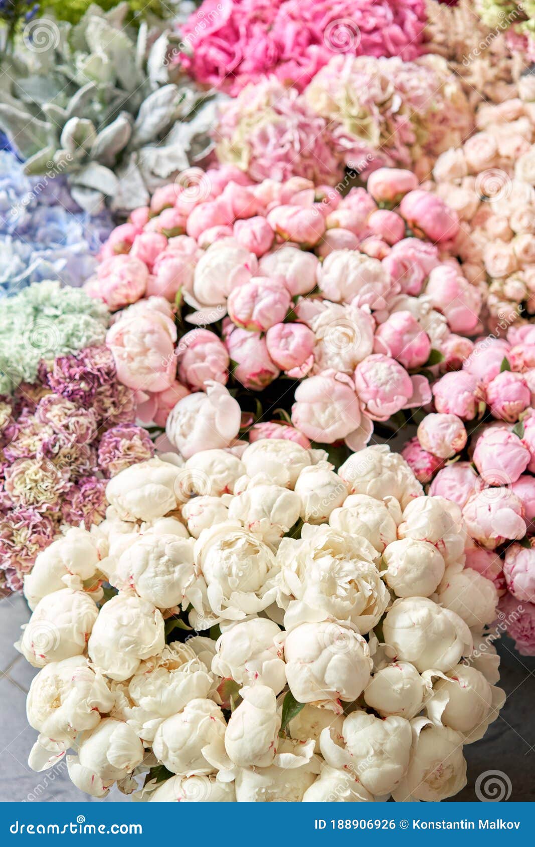 1067x1690  Флористические ковер или обои. Фон сочетание цветов. Красивые цветы для  каталога или интернет-магазина. Цветочный магазин Стоковое Фото -  изображение насчитывающей поставка, сад: 188906926