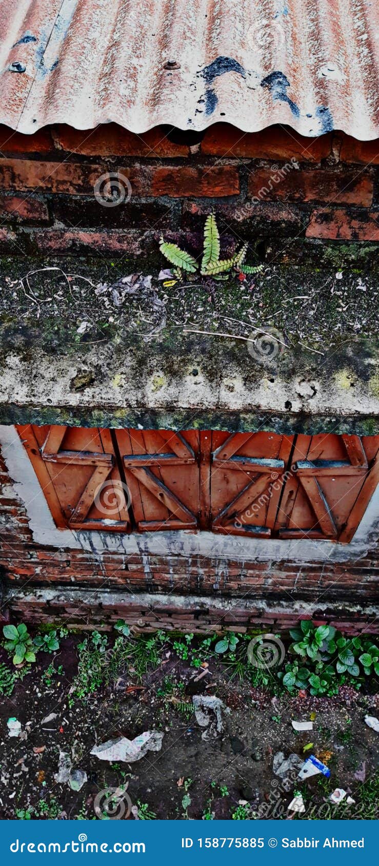 739x1690  Лучшие обои Дома природы стоковое изображение. изображение насчитывающей  дом - 158775885