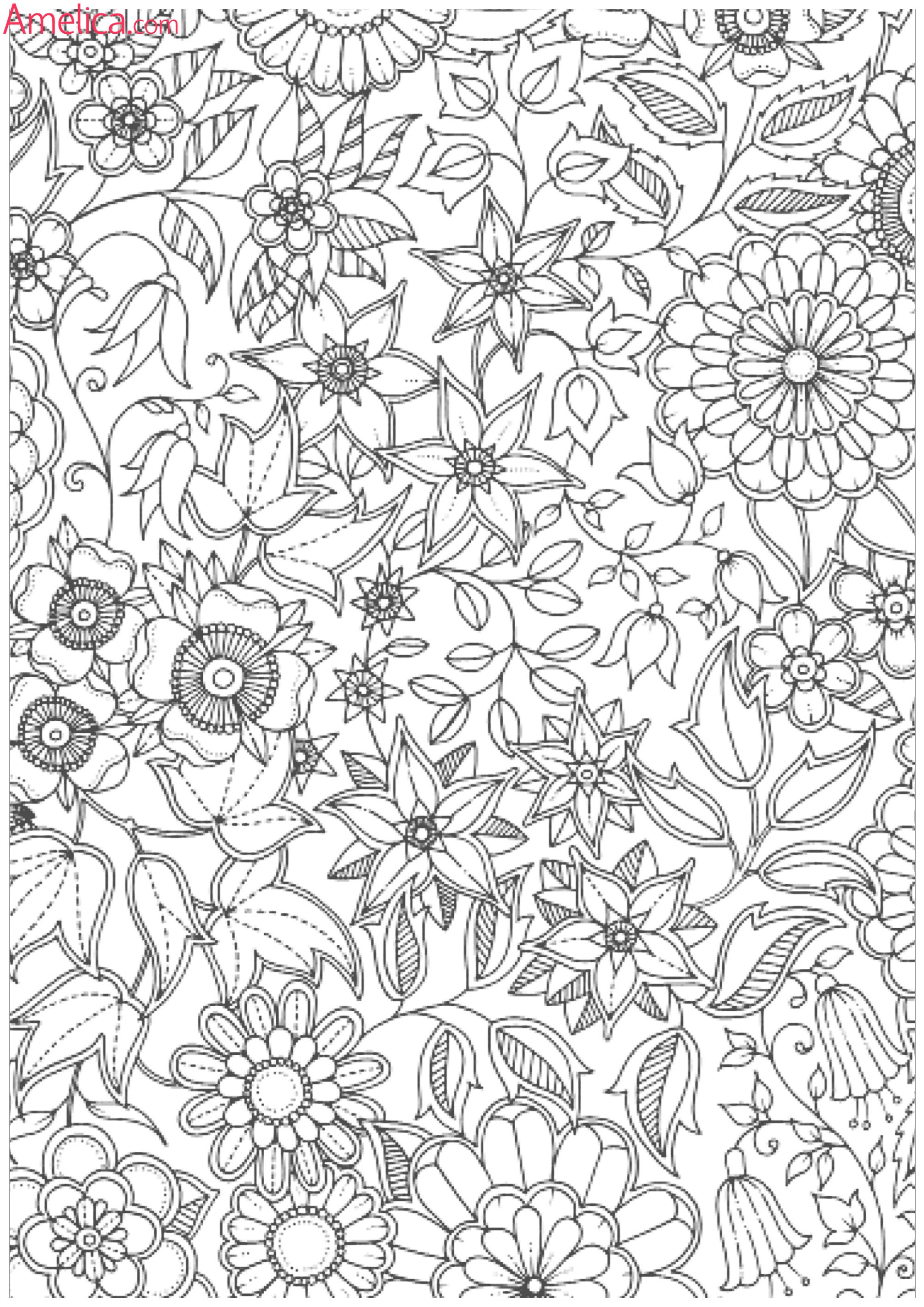 Для взрослых обои на телефон