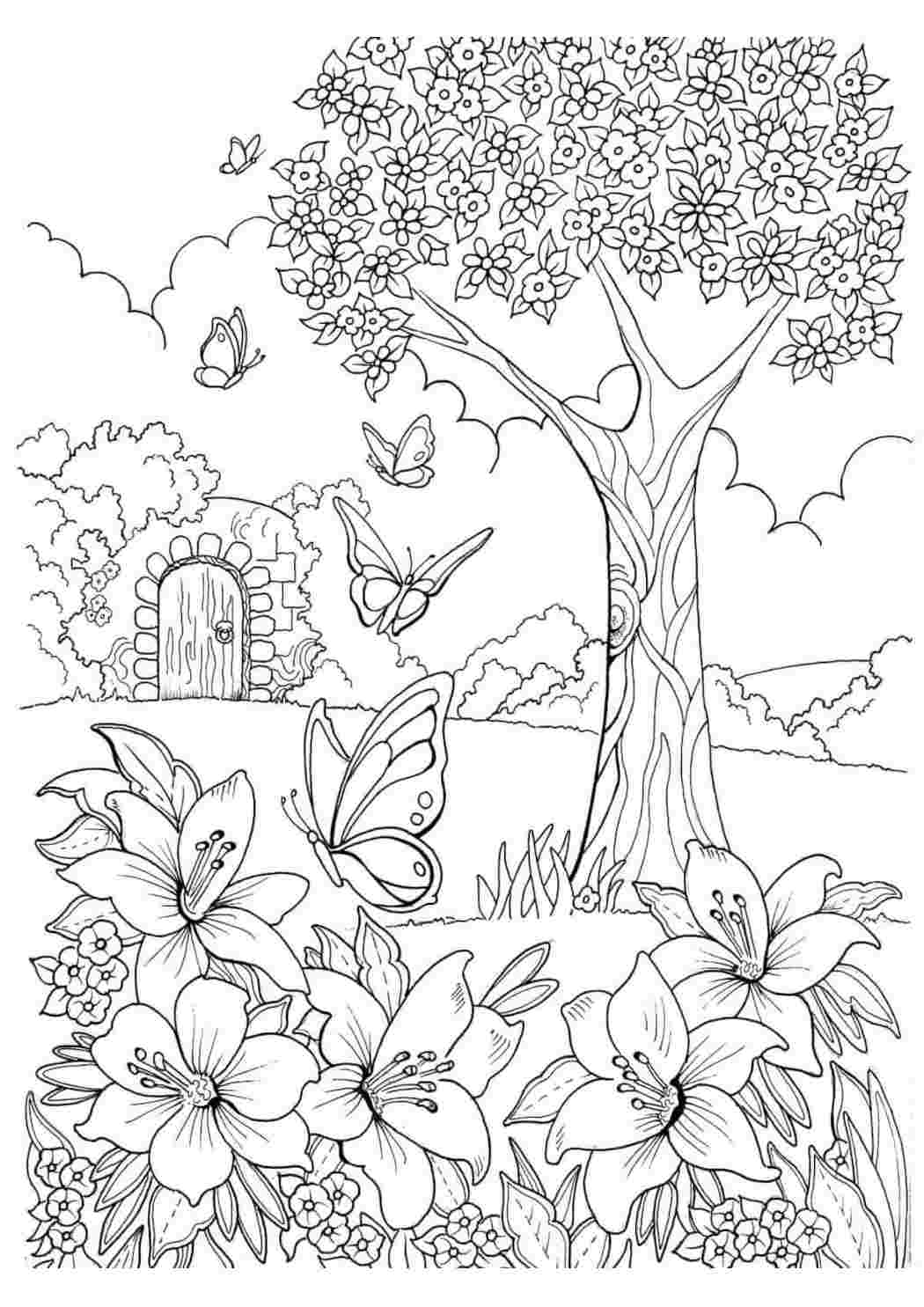 1050x1485  Раскраска взрослых природа. раскраски для взрослых раскраски природа для  взрослых. Картинки раскраски.