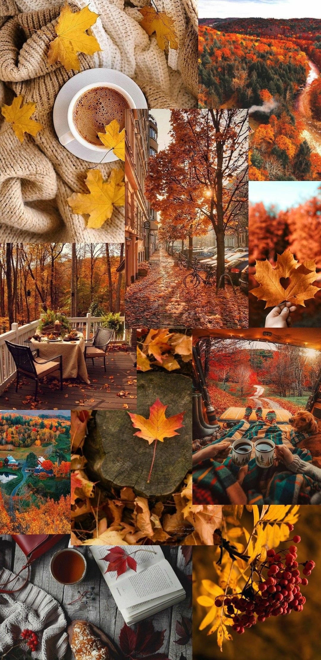 1080x2220  Пин от пользователя Loginova Lika на доске Обои для телефона |  Рождественские картины, Оранжевые картины, Осенние изображения