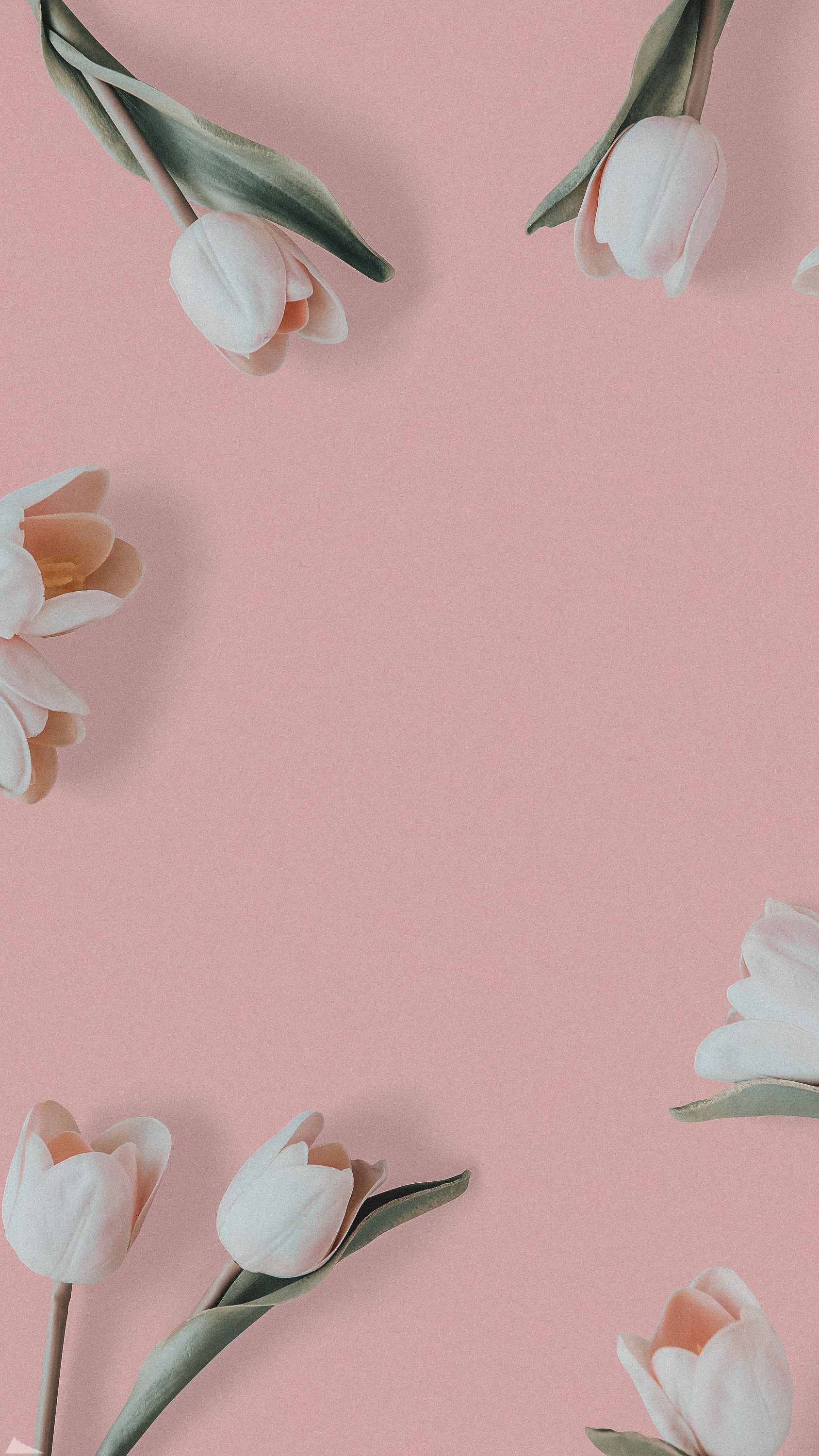 Чёрный тёмные обои на телефон