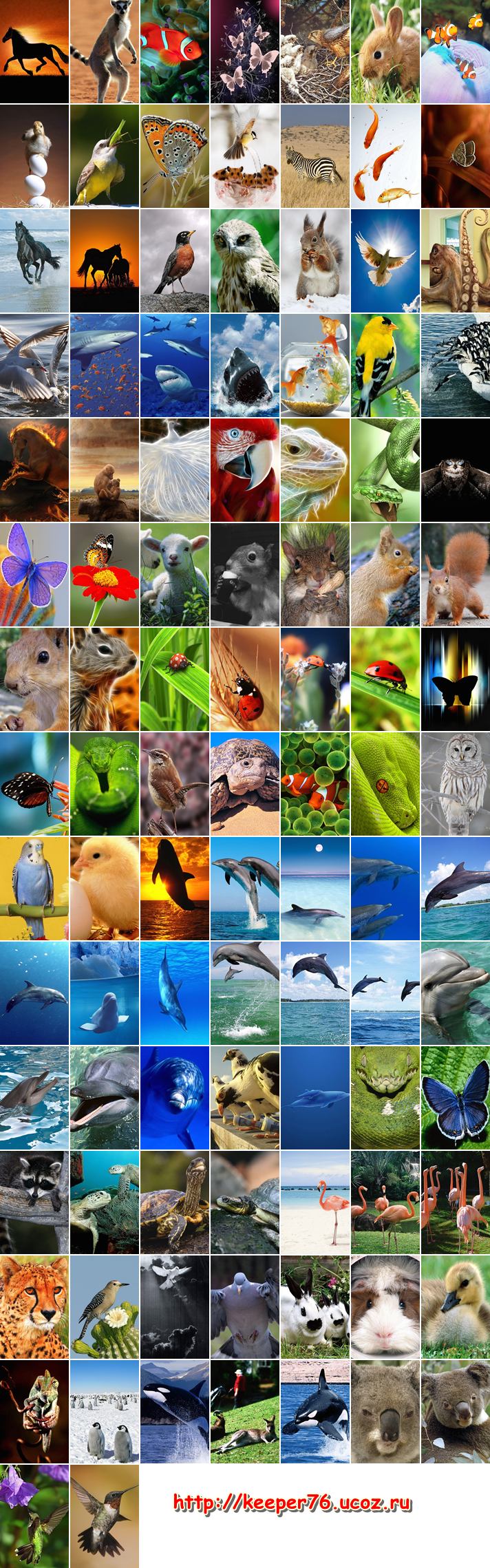 712x2278  Мобильные анимации, картинки на телефон, обои, заставки