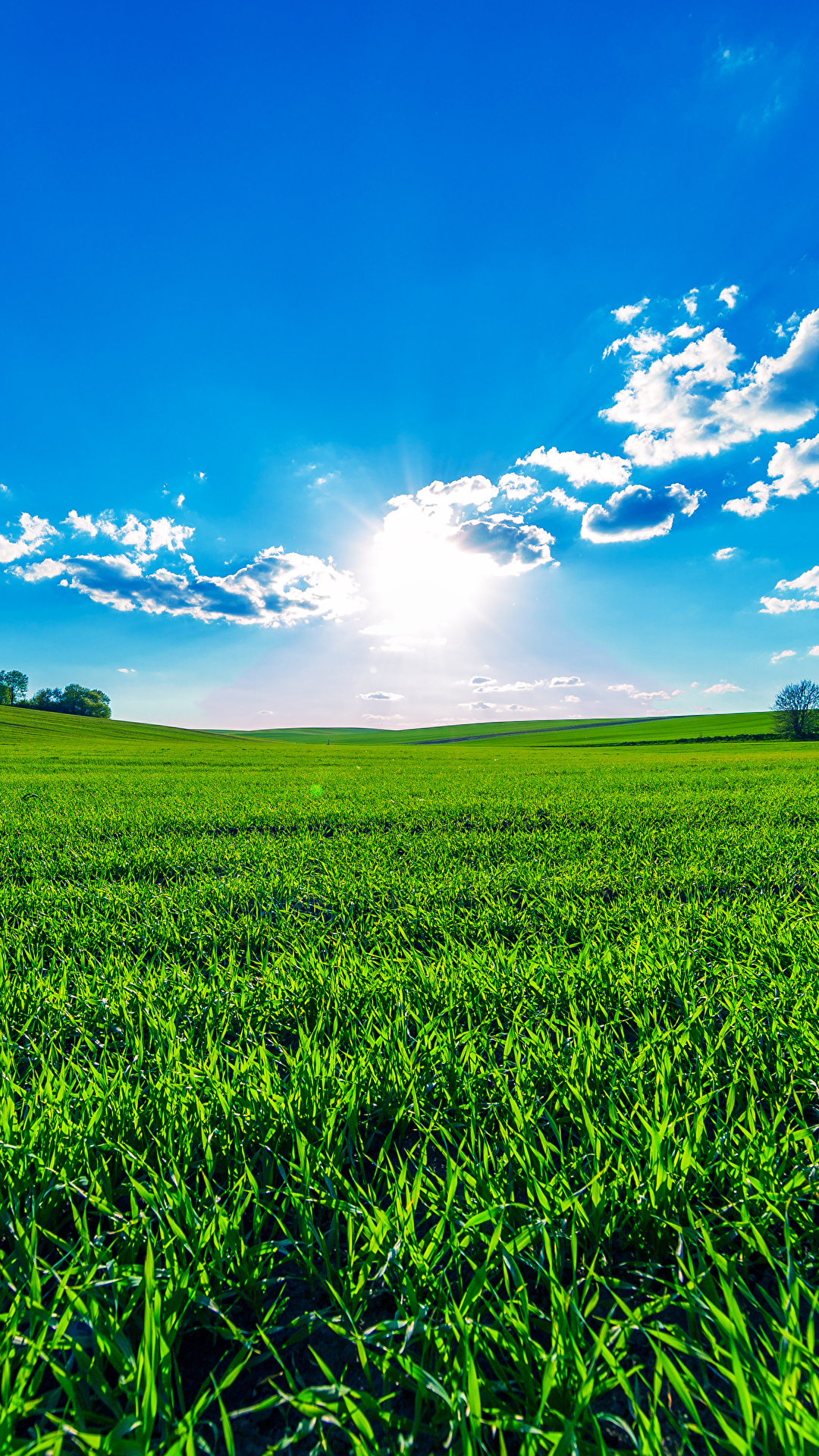 1080x1920  Desktop Wallpapers Summer Nature Sky Fields Scenery Clouds 1080x1920