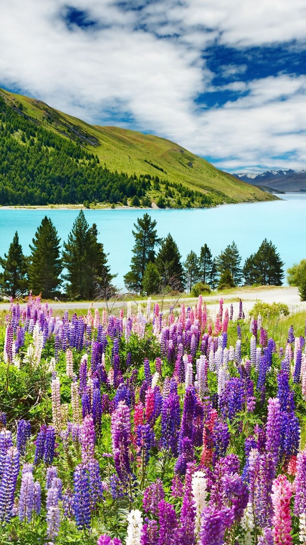 1037x1843  Картинки на телефон природа лето - 74 фото