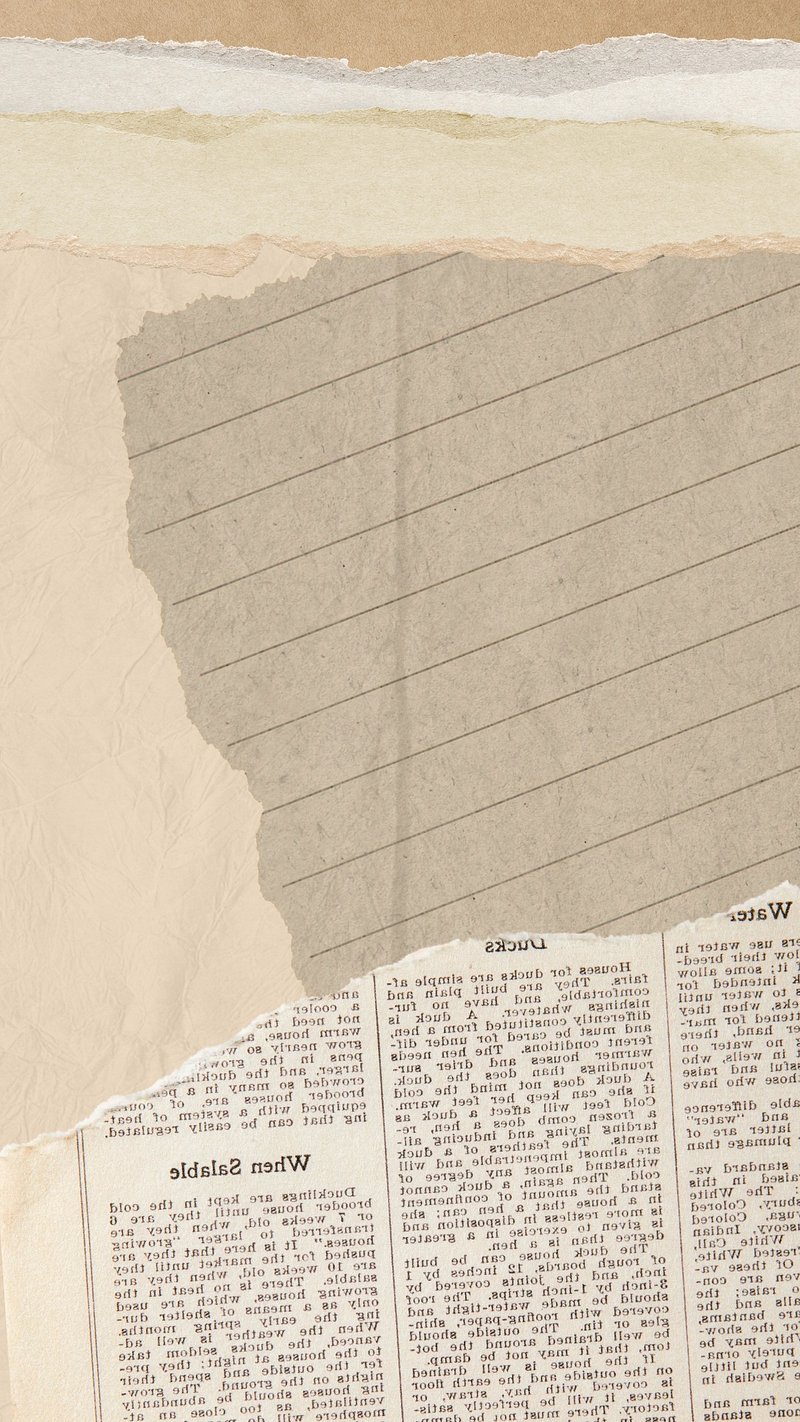 800x1422  Вират Кохли, 18, крикет, король, король Кохли, Кохли, rcb, вират, вк, vk18, HD обои для телефона | Пикпикселей