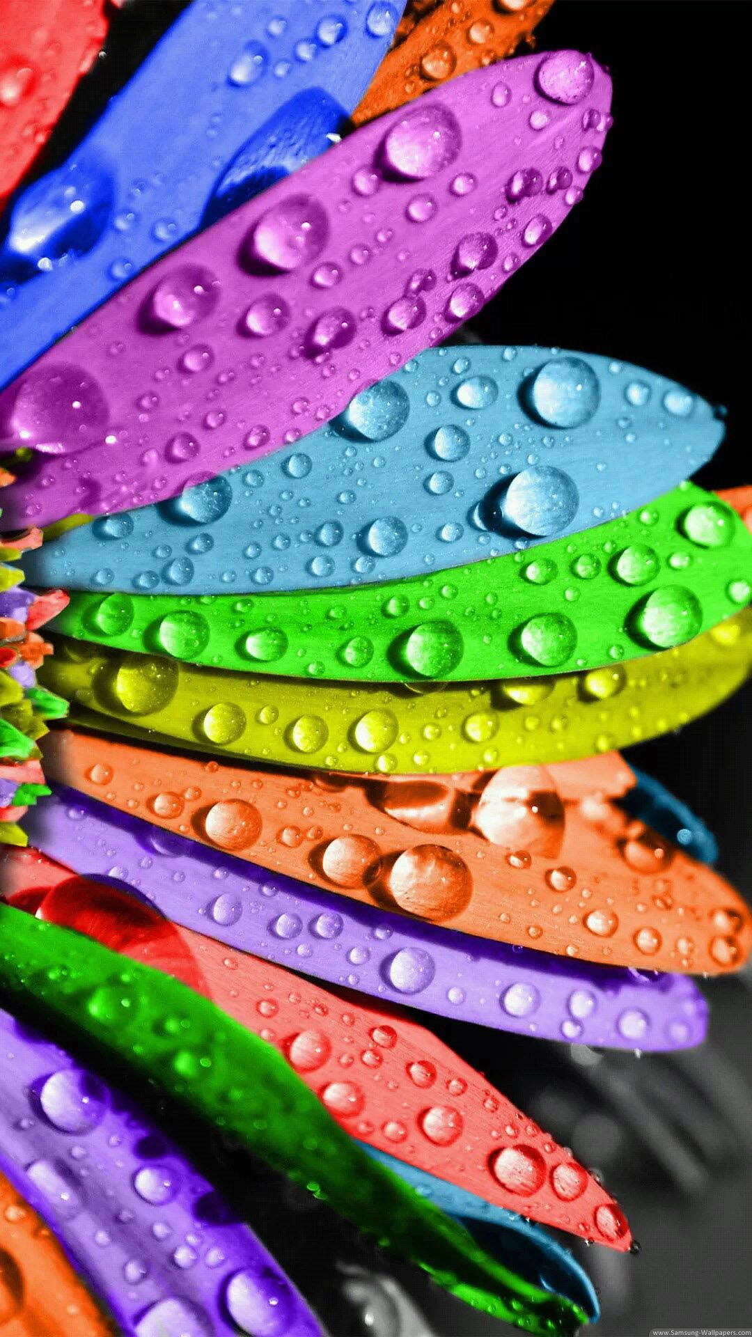 1080x1920  обои на телефон андроид скачать бесплатно: 26 тыс изображений найдено в  Яндекс.Картинках | Rainbow colors, Happy colors, Colours