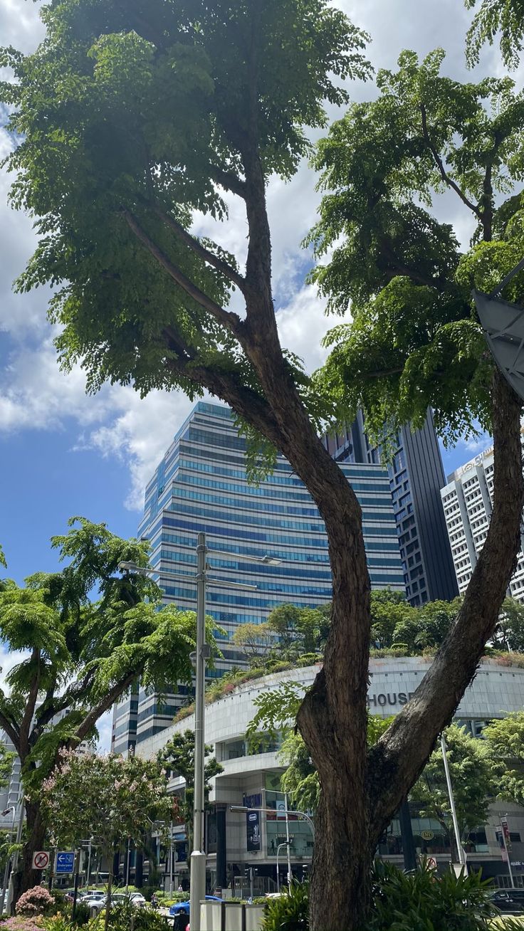 736x1308  Обои для телефона милые обои на клавиатуру обои фоны однотонные пастельные  аниме обои на телефон in 2023