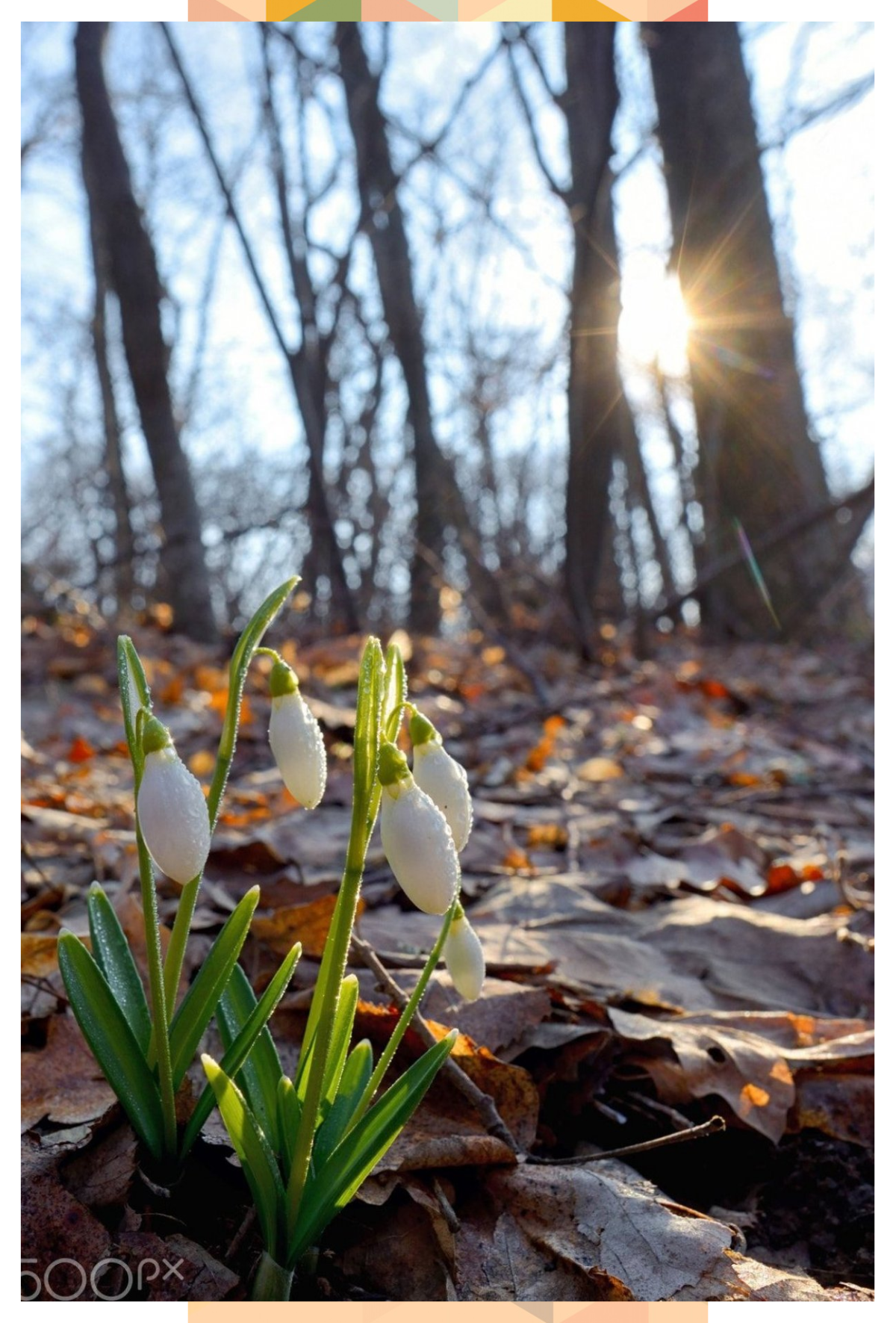 1200x1771  Ранняя весна картинки на телефон - 70 фото