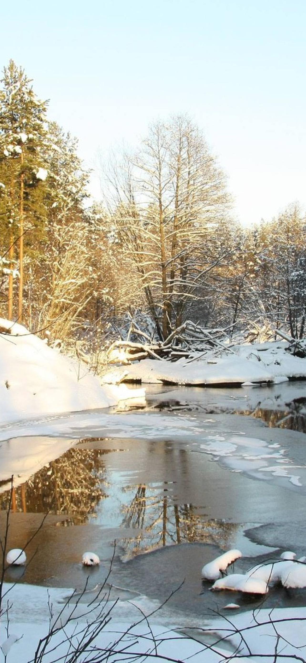 1284x2778  Ранняя весна обои на телефон [28+ изображений]