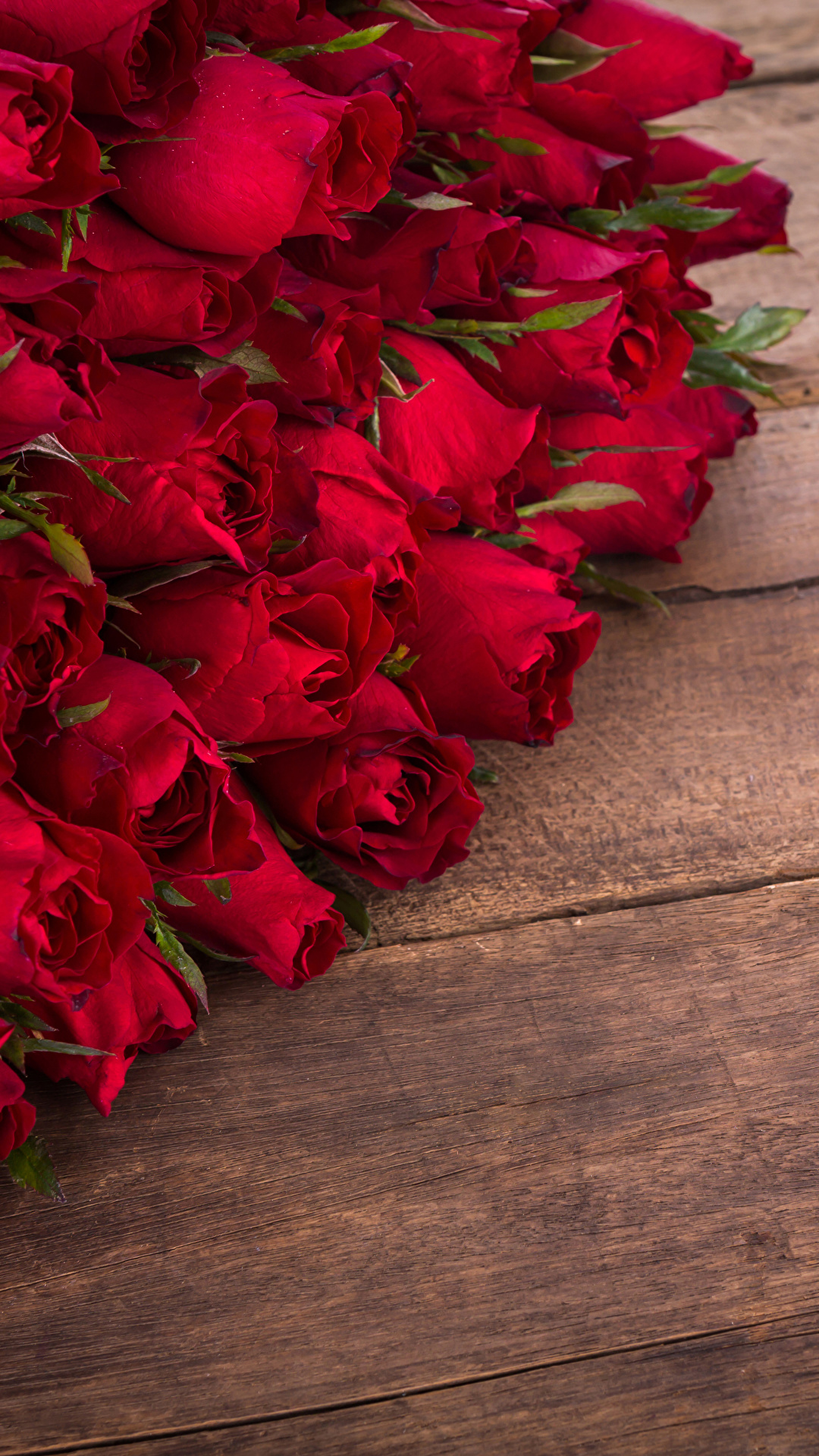 1080x1920  Обои для рабочего стола Розы красных Цветы Много Доски 1080x1920