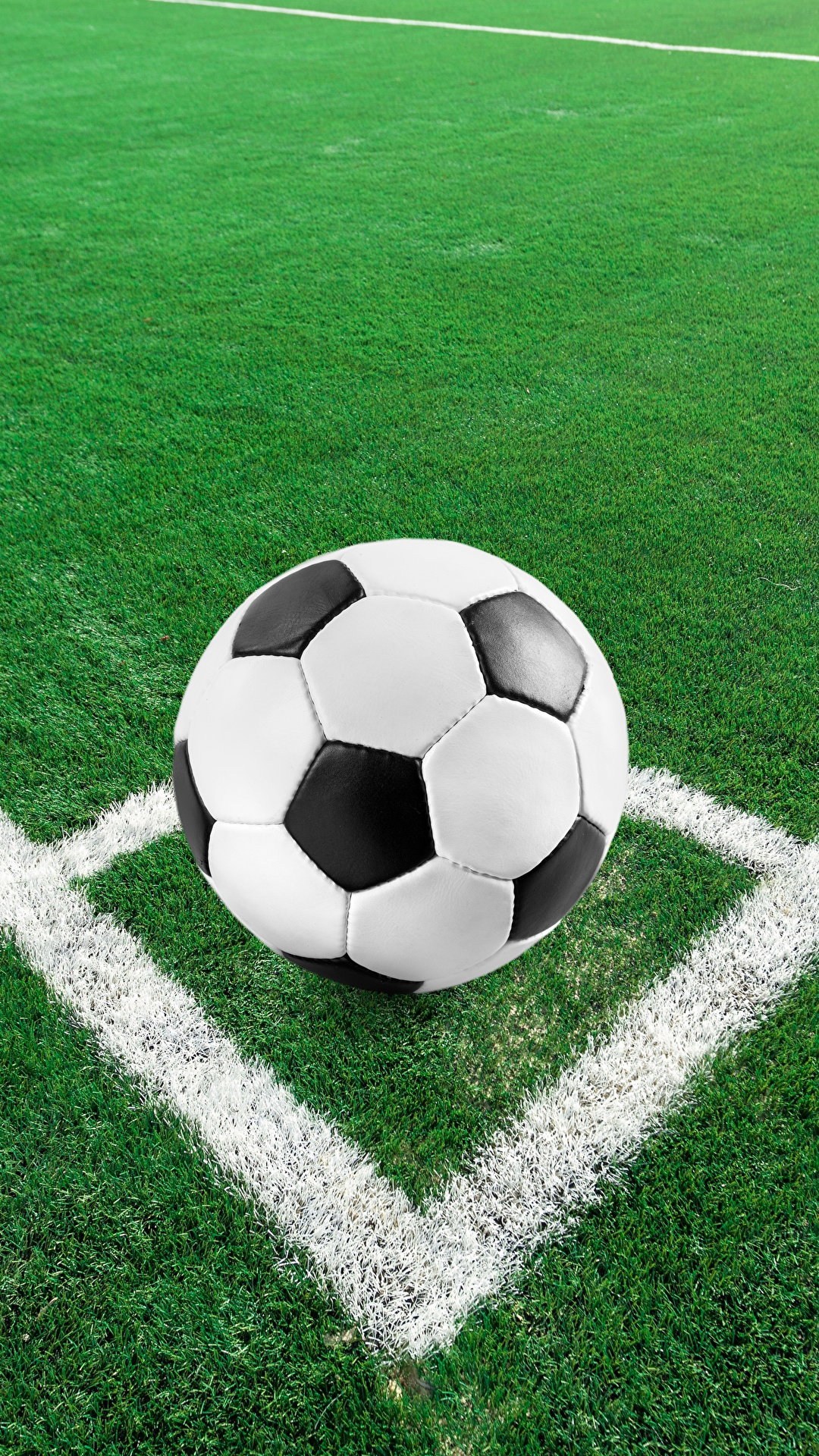 1080x1920  Картинки Спорт Футбол Мяч газоне 1080x1920
