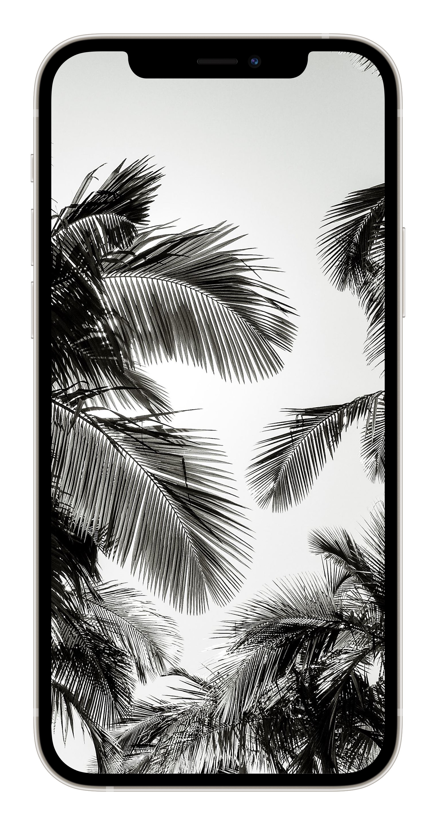 1530x2892  10 необычных черно-белых обоев для iPhone