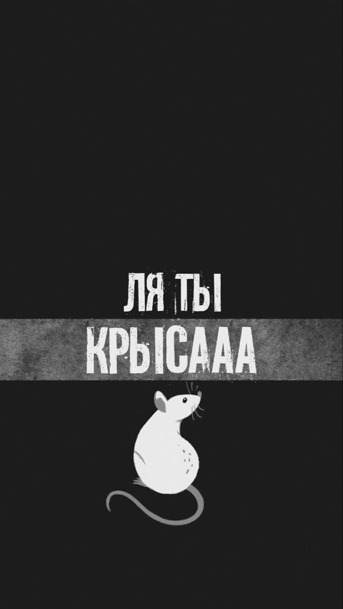 676x1200  Пин от пользователя Vanish😈 на доске Обои ✨ | Смешные открытки, Забавные  обои, Веселые мемы