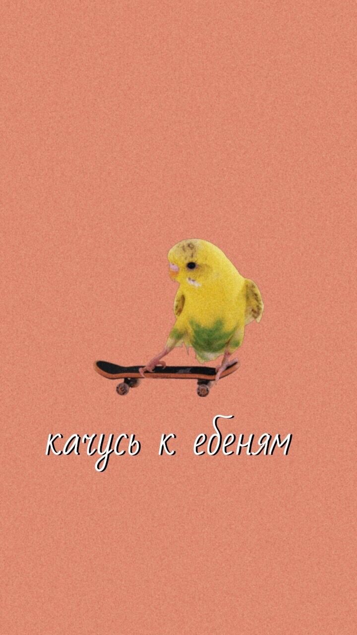 720x1280  Пин от пользователя BMoon на доске На обои | Забавные картинки, Мемы, Обои