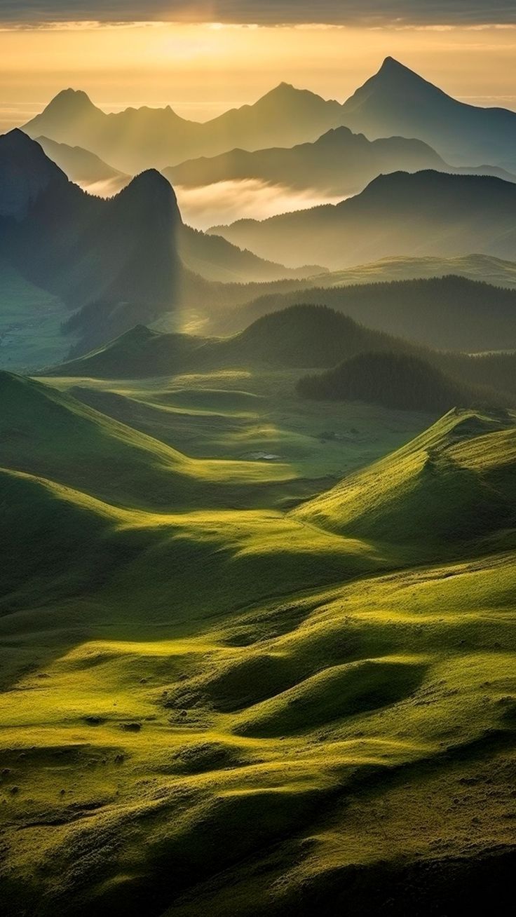 736x1308  7600+] HD-обои | Обои.com