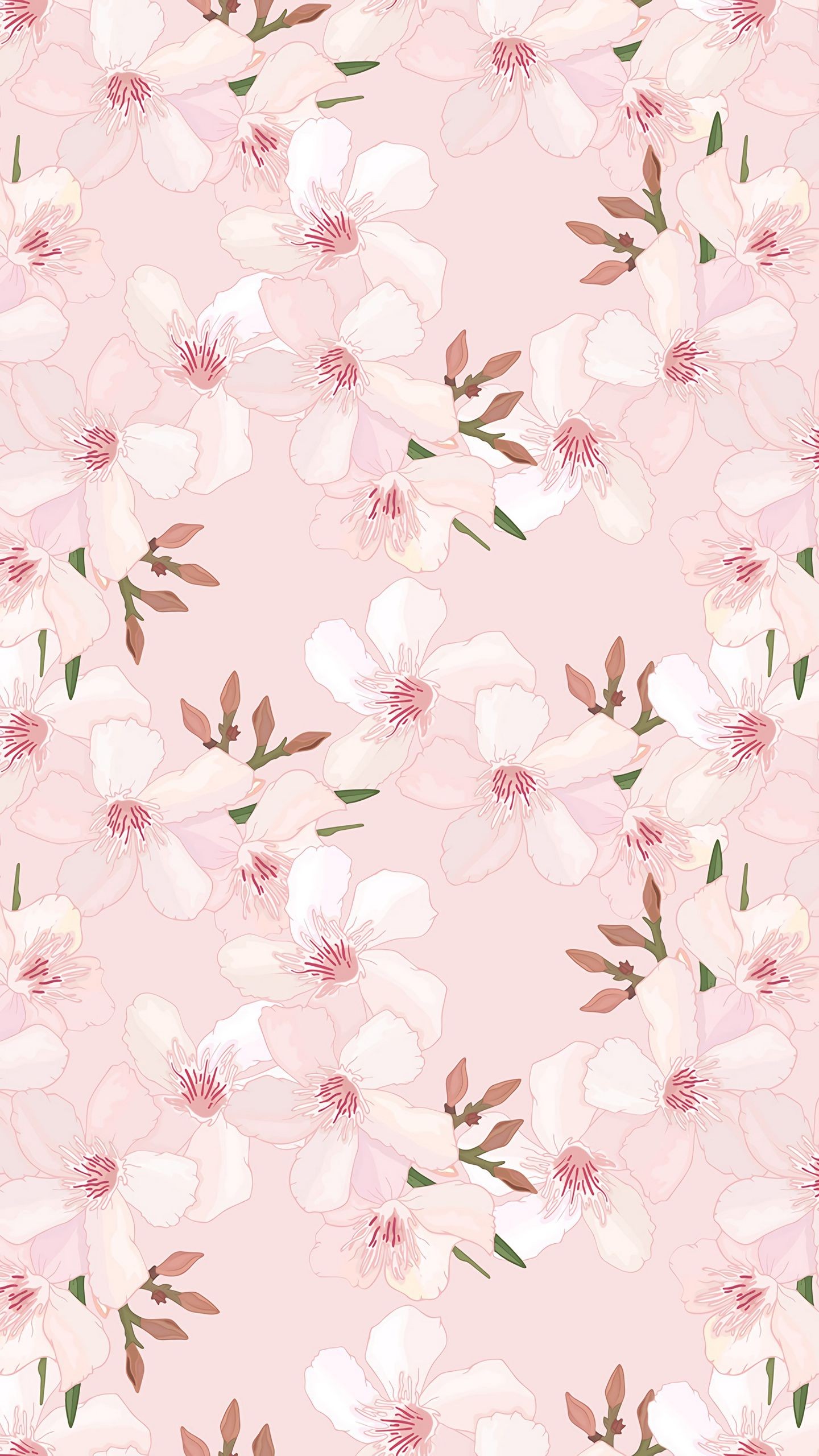 1440x2560  Обои на телефон цветы, сакура, паттерн, вишня, розовый, нежный, весенний -  скачать бесплатно в высоком качестве из категории \"Текстуры\"
