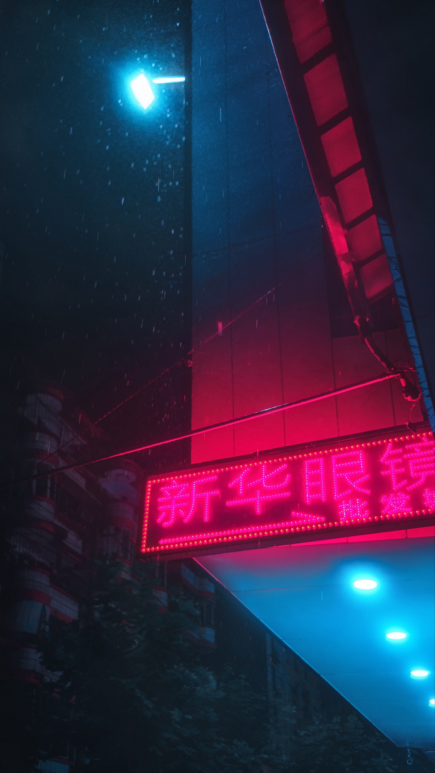 1440x2560  Обои на телефон неон, свет, вывеска, ночь, дождь - скачать бесплатно в  высоком качестве из категории \"Темные\"