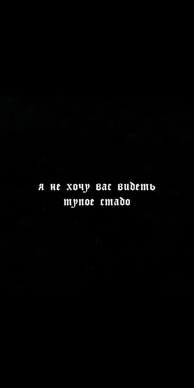 640x1280  Обои для телефона | Вдохновляющие цитаты, Исторические цитаты,  Вдохновляющие высказывания