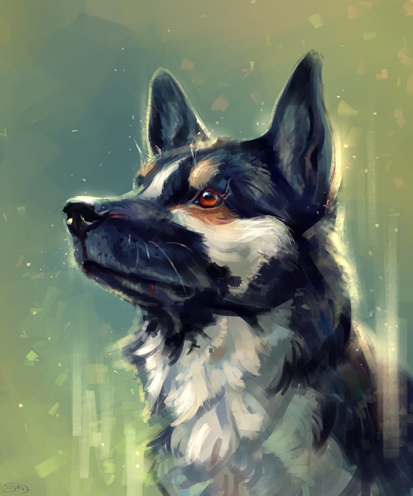 853x1024  Обои для рабочего стола Собаки Голова животное Рисованные