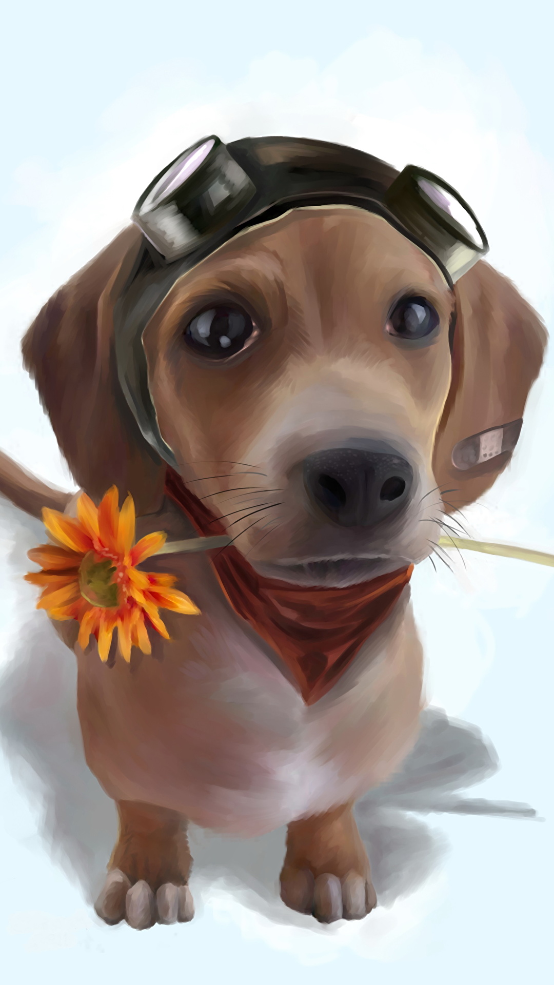 1080x1920  Фотография собака Милые смотрят Животные Рисованные 1080x1920