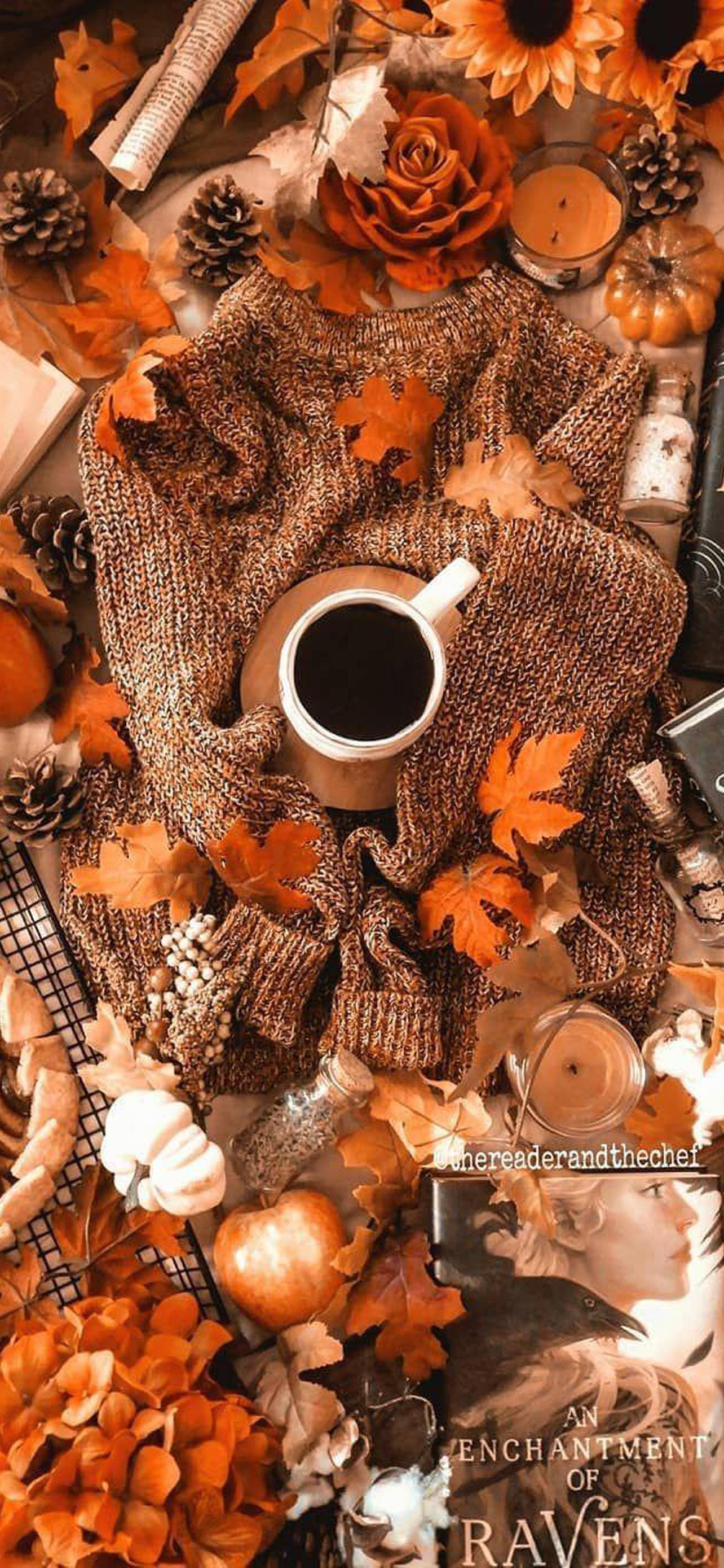 1284x2778  Уютные осенние обои на телефон [22+ изображений]