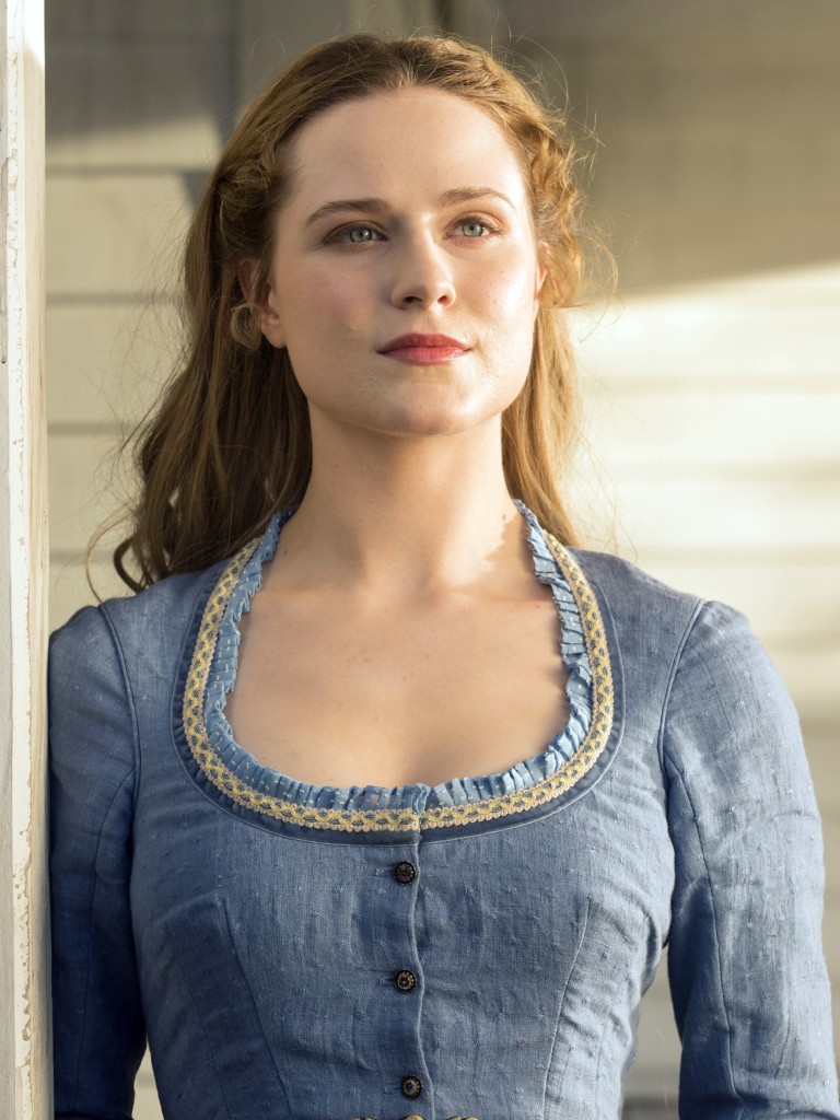 768x1024   женщина Эван Рэйчел Вуд 