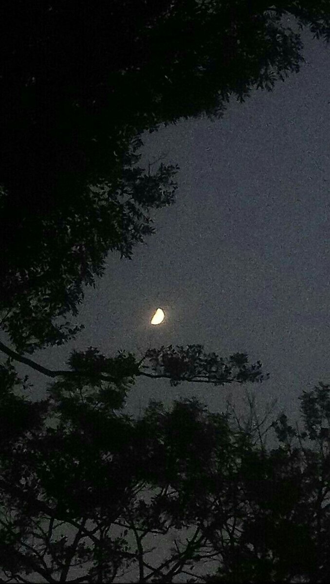 678x1200  Красивые и необычные обои на рабочий стол телефона и компьютера. |  Ananas666 OG | Дзен