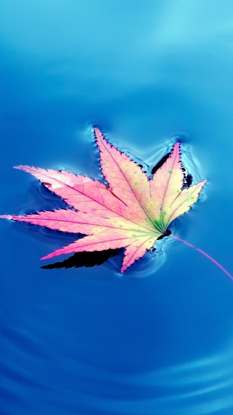 750x1334  Обои на смартфон вертикальные - 74 фото