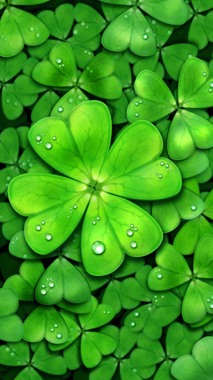 720x1280  4 Leaf Clover Wallpapers - Wallpaper Cave