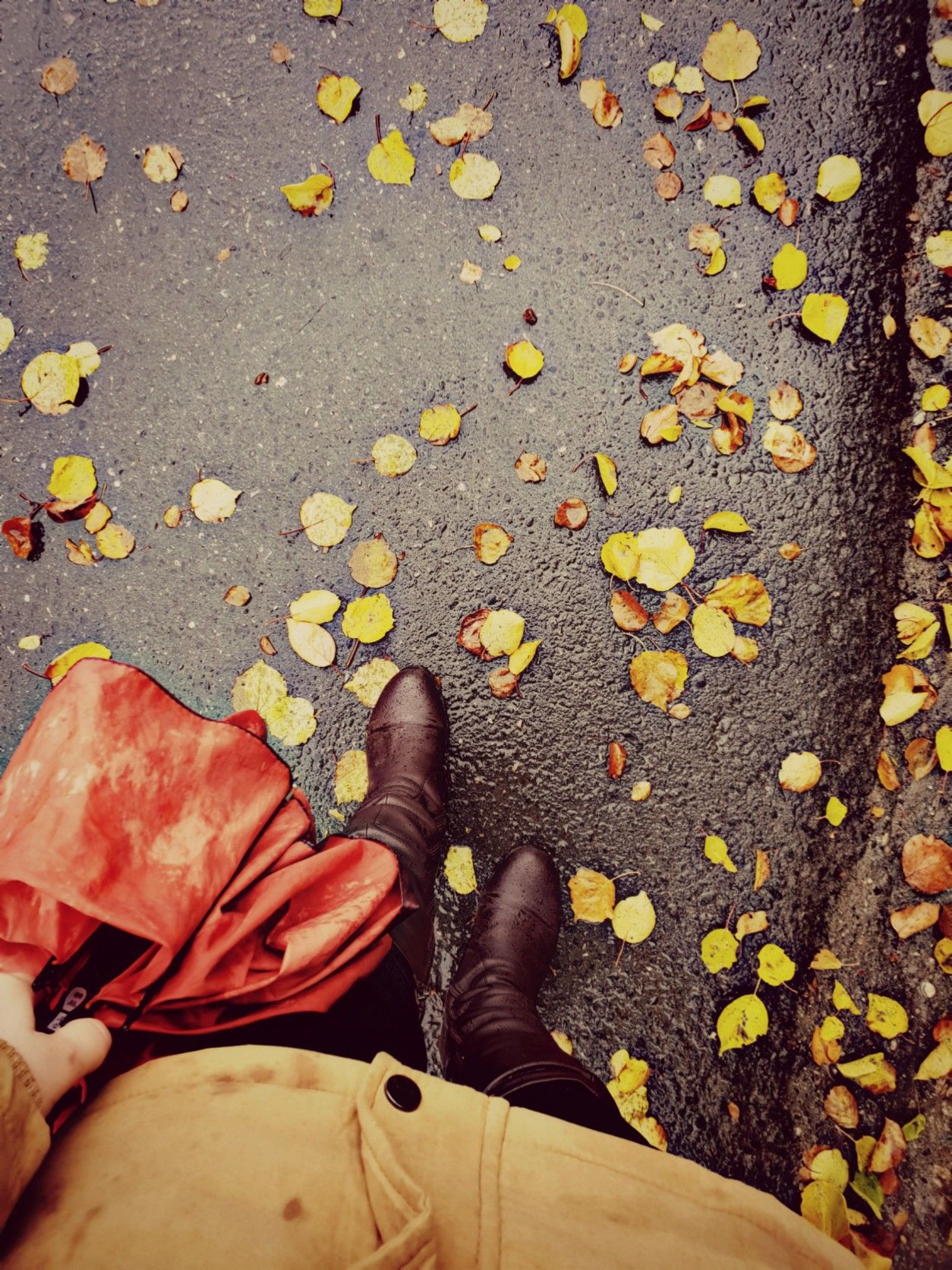 1254x1672  Картинки на телефон осень 4к (68 фото) » Фоны и обои для рабочего стола.  Картинки для заставки на телефон