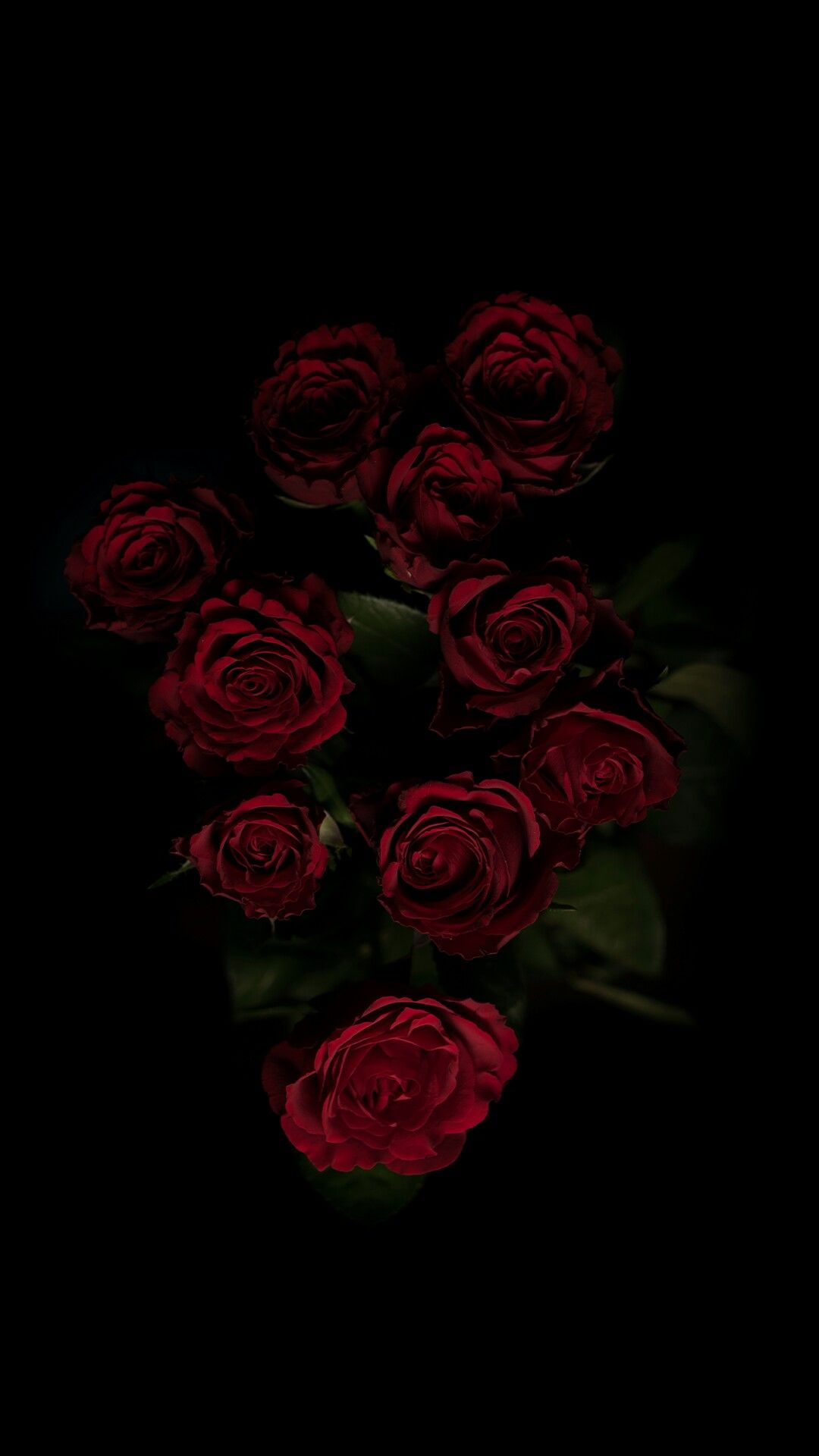 1080x1920  Pin by Iyan Sofyan on Flowers + | Nature iphone wallpaper, Black background  wallpaper, Black roses wallpaper