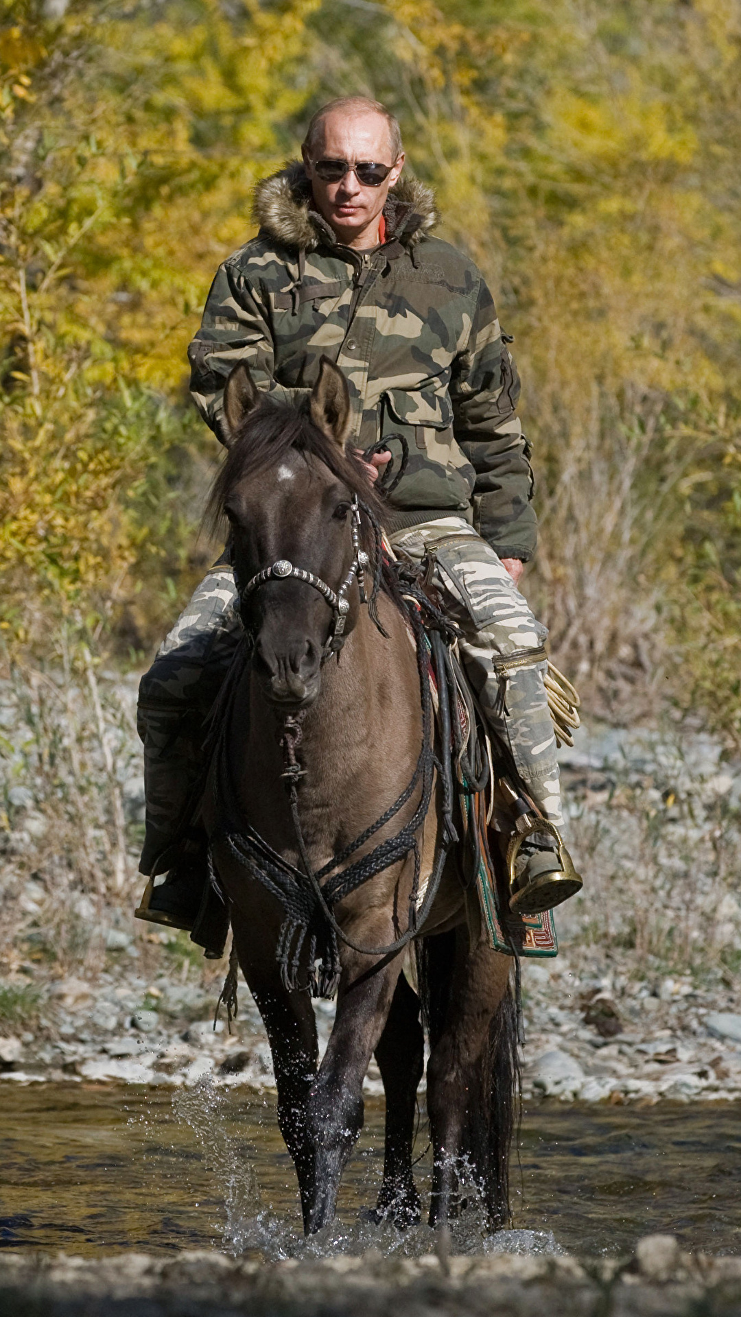 1080x1920  Фотографии Владимир Путин лошадь Мужчины Знаменитости 1080x1920